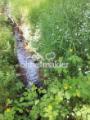 Bachlauf