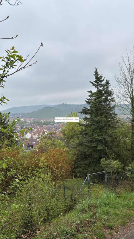 Aussicht auf die Grabkapellle auf dem Würrtemberg