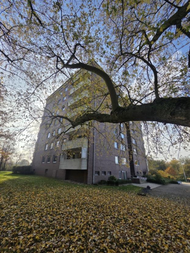 Hauansicht