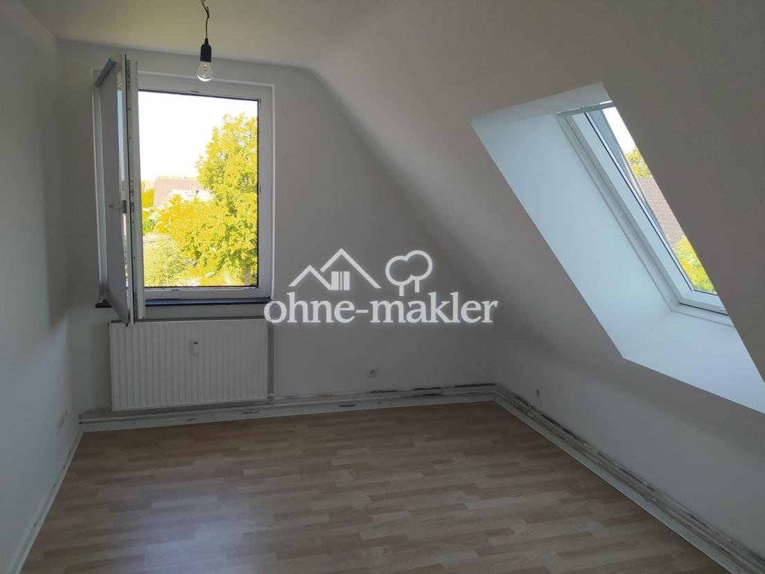 Zimmer Elektrorollodachfenster