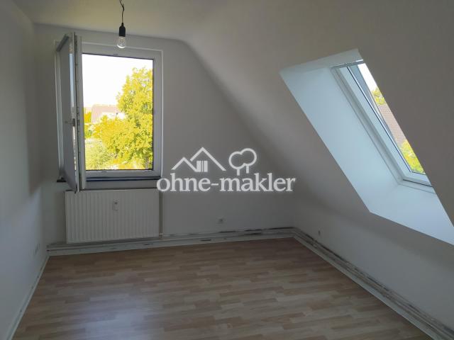 Zimmer Elektrorollodachfenster