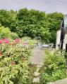 Terrasse OG