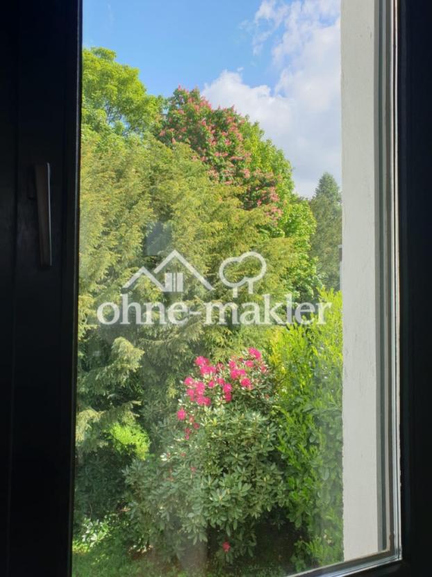 Blick aus dem Bett
