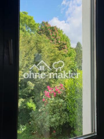 Blick aus dem Bett