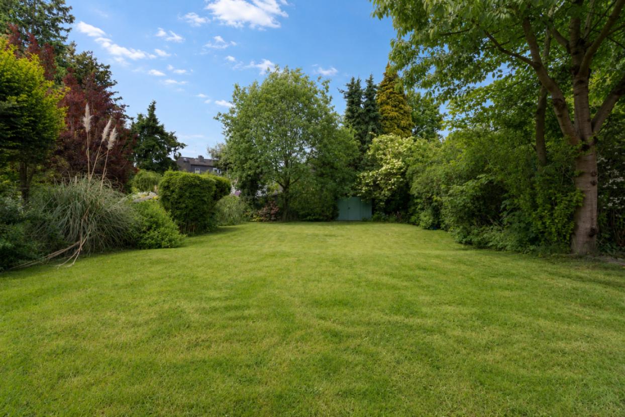 Ansicht Garten