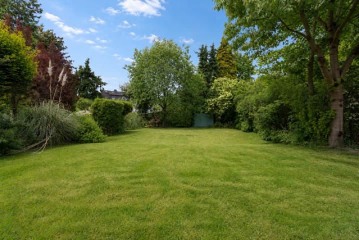Ansicht Garten
