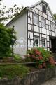 Hausansicht Vorgarten