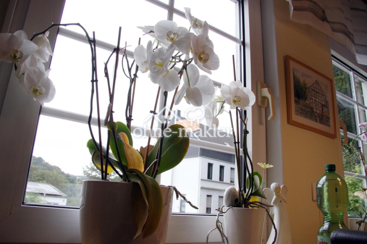 Detail Fenster