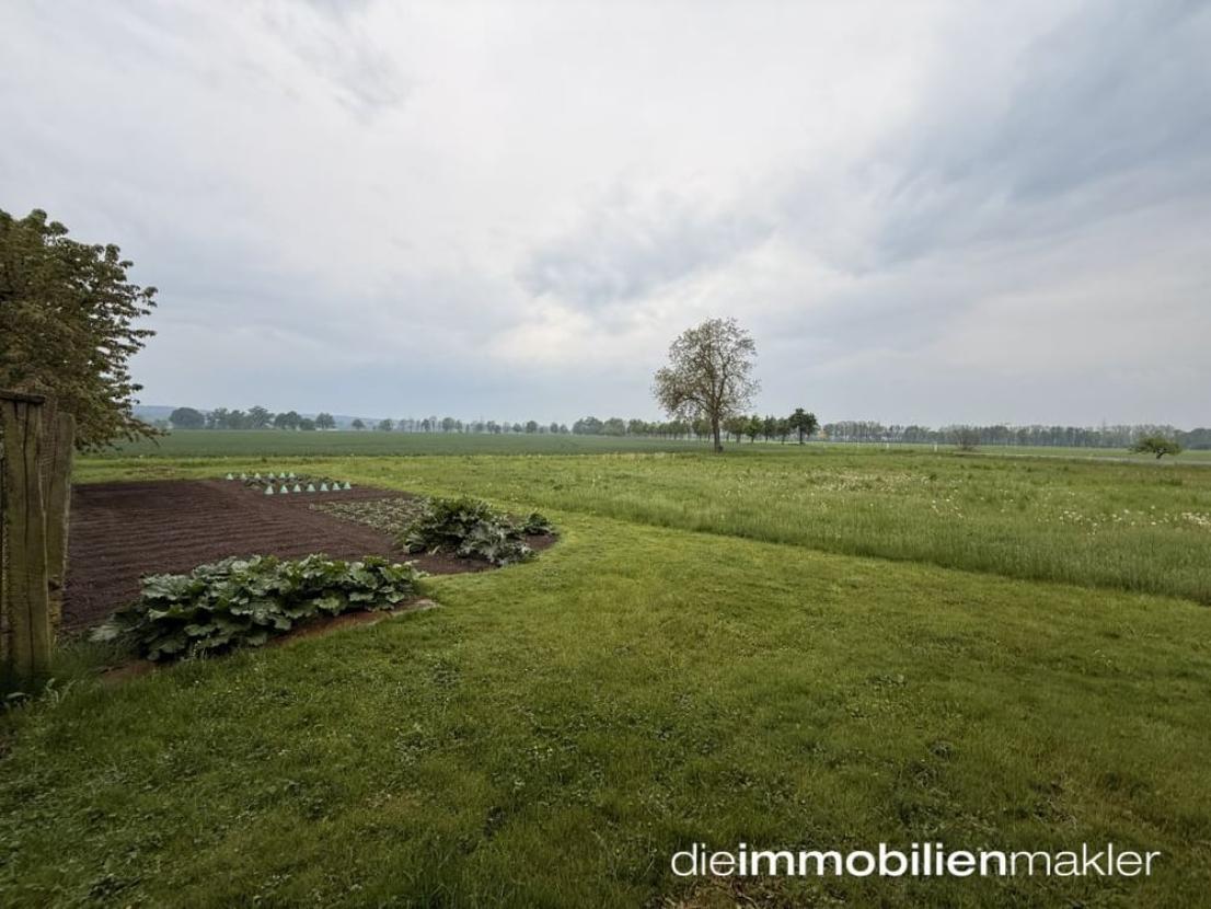 Freiblick Garten