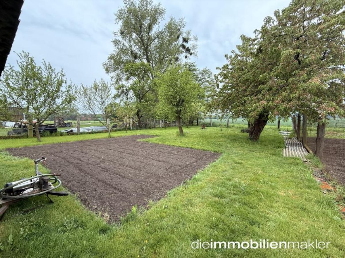 Gartenbereich
