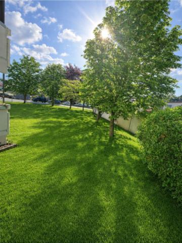 Blick vom Balkon 