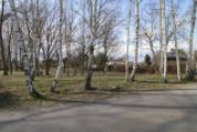 Park bei der Straße
