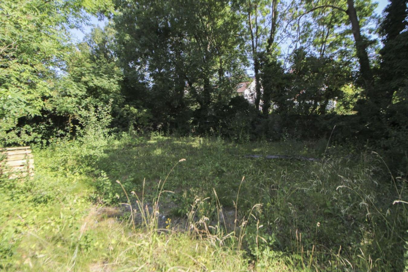Garten_2