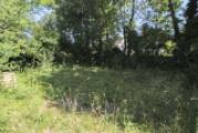 Garten_2