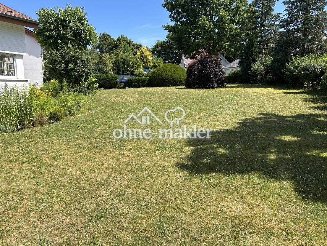 Garten im Sommer