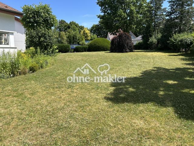 Garten im Sommer