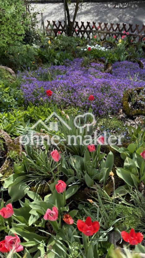 Blumenbeet