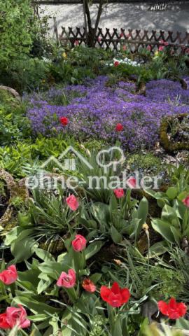 Blumenbeet