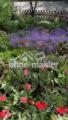 Blumenbeet