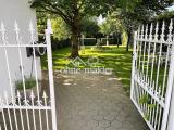 Blick in den Garten