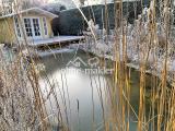 Teich, Gartenhaus, Terrasse