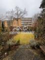 Garten im Winter ohne Laub
