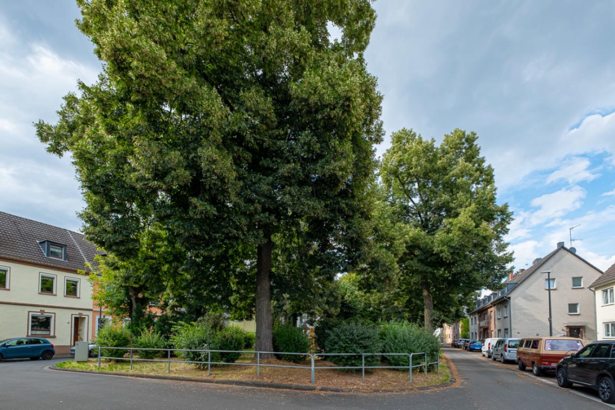 Grünflächen neben dem Haus