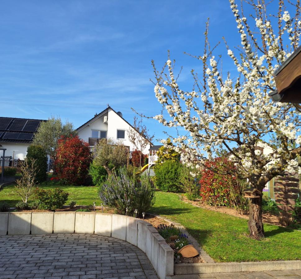 Hof u. Gartenbereich