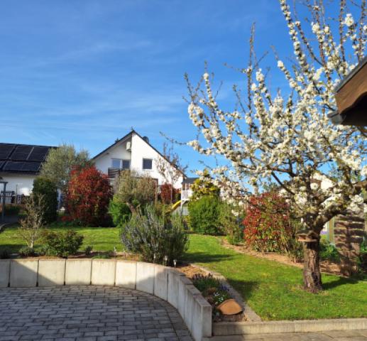 Hof u. Gartenbereich