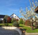 Hof u. Gartenbereich