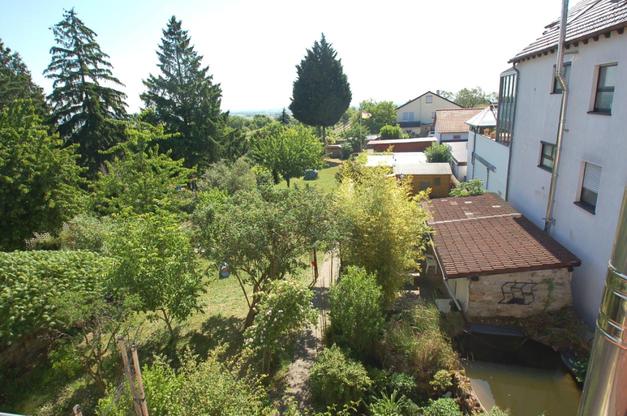 Blick von oben