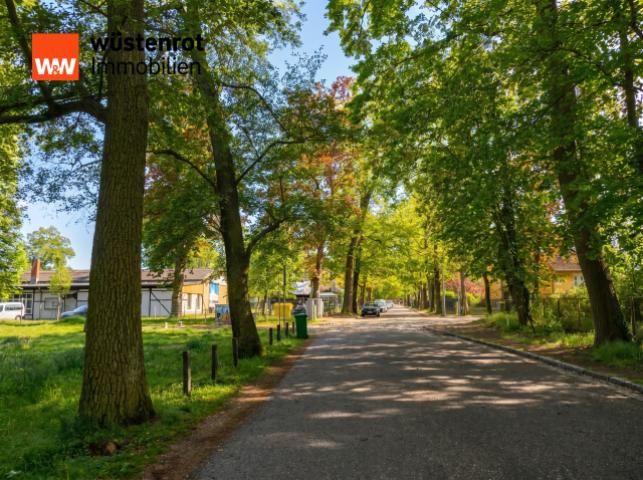Straßenansicht zur Ahornallee Ahornallee