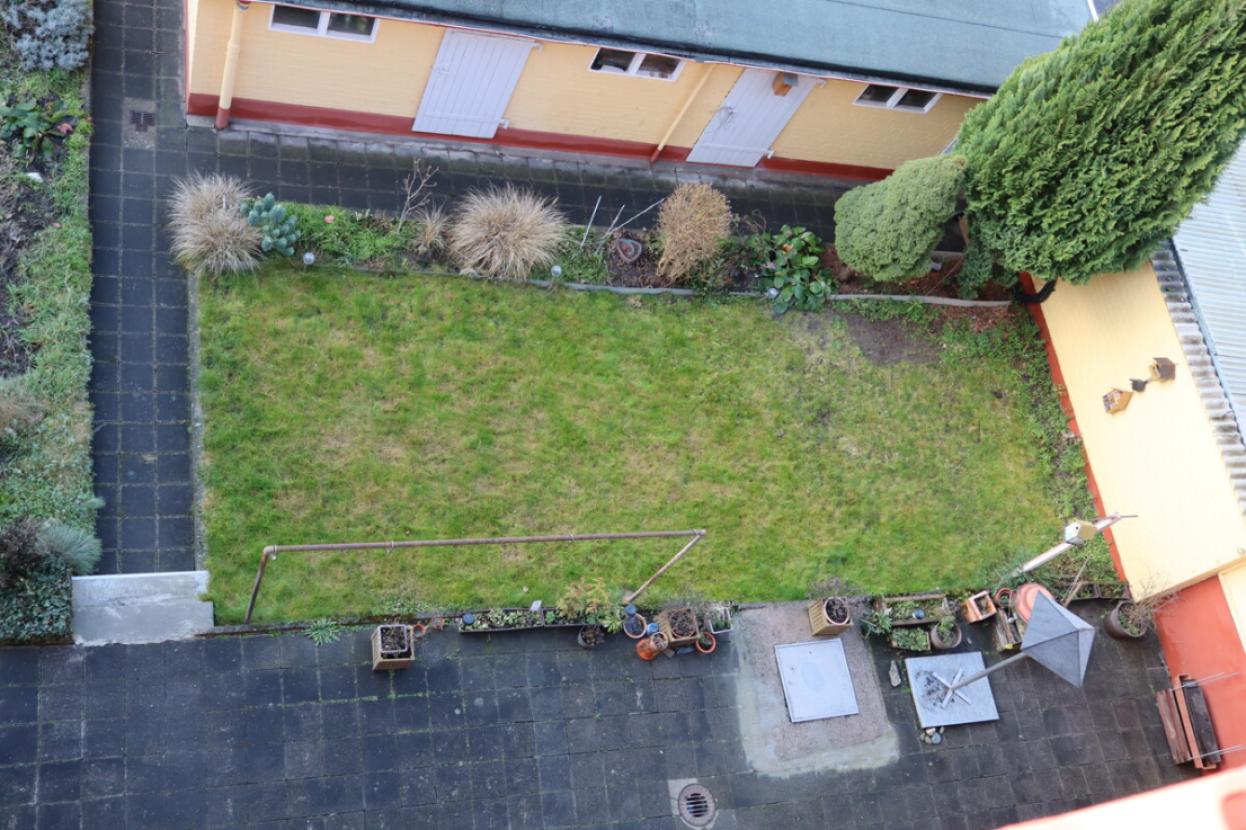 Gemeinsamer Garten