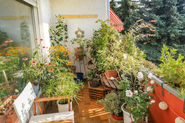 Balkon