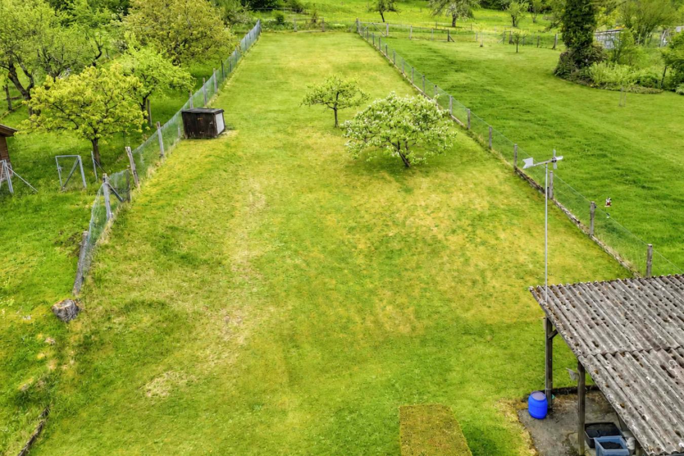 27 Ansicht Garten