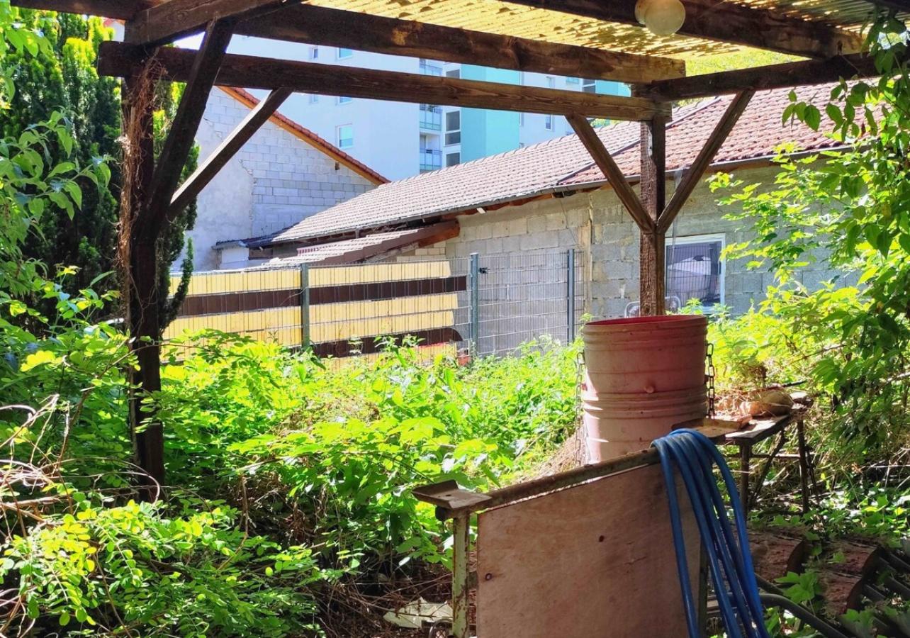 Blick in den Garten