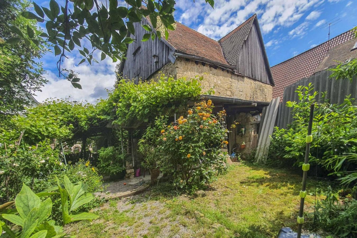Garten im Sommer