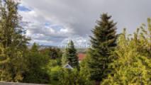 Ausblick ins Grüne