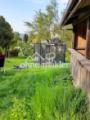 Wiese mit Trampoline 