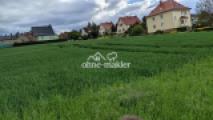 Blick von Grundstück aufs Feld