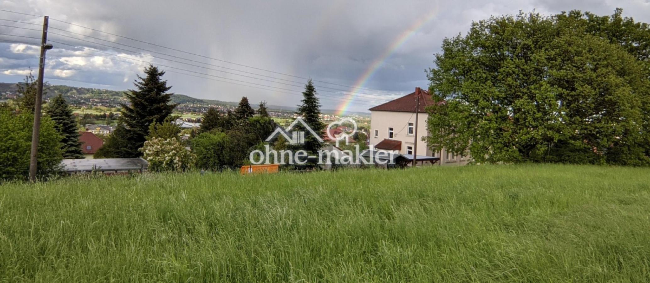 Blick vom Feld aufs Grundstück