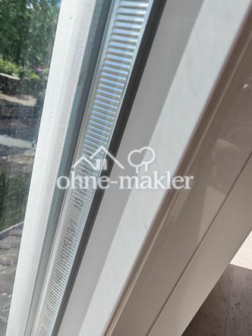 Fenster