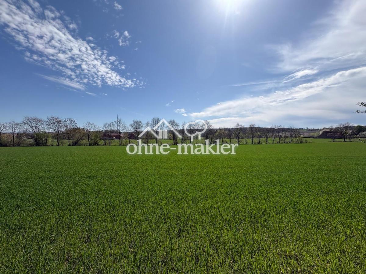Freies Feld hinter dem Haus