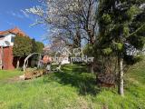 Garten mit Kirschbaum