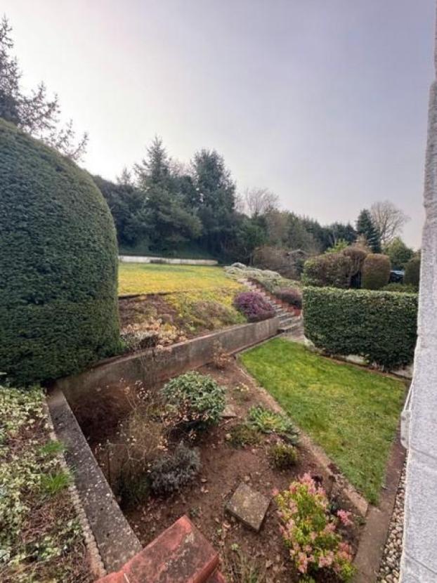 6 Garten