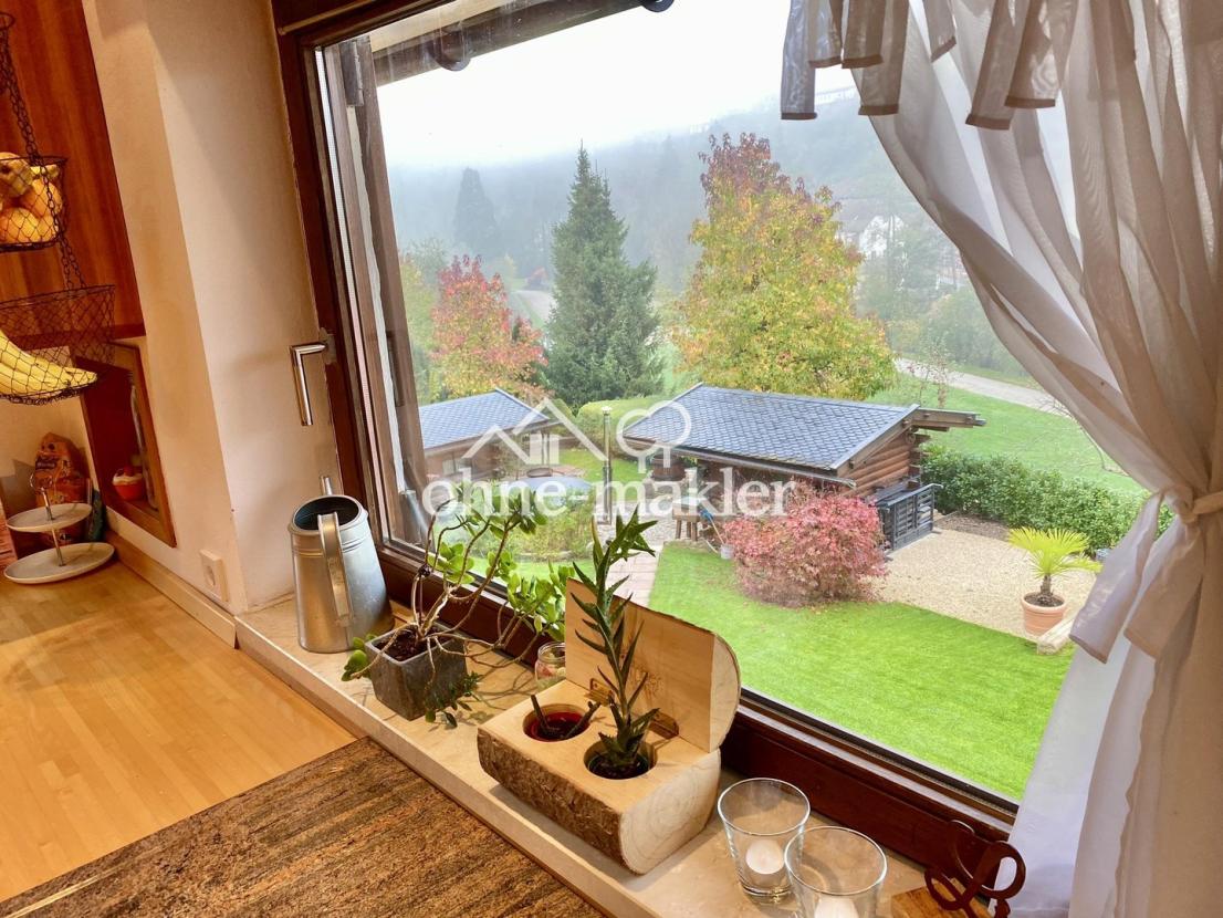 Blick in den Garten