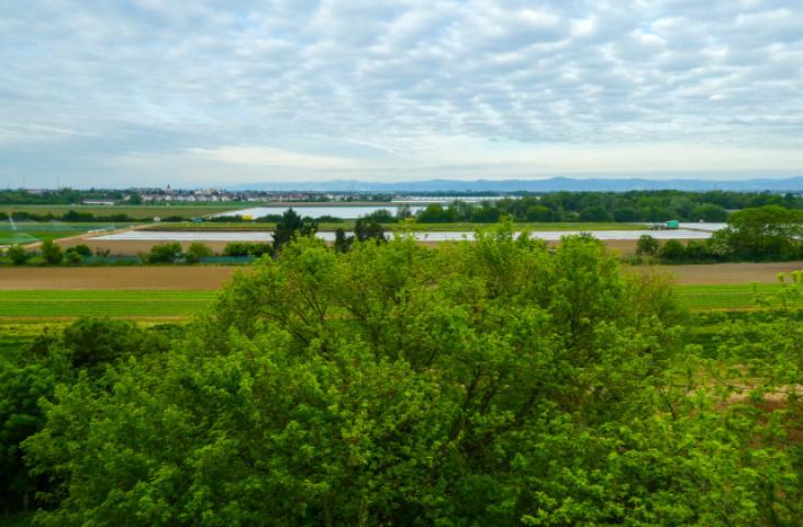 Blick vom Balkon