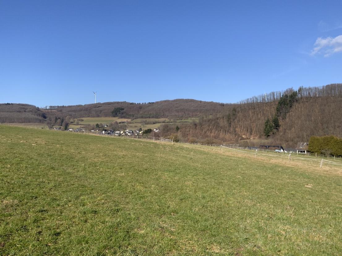Wiese