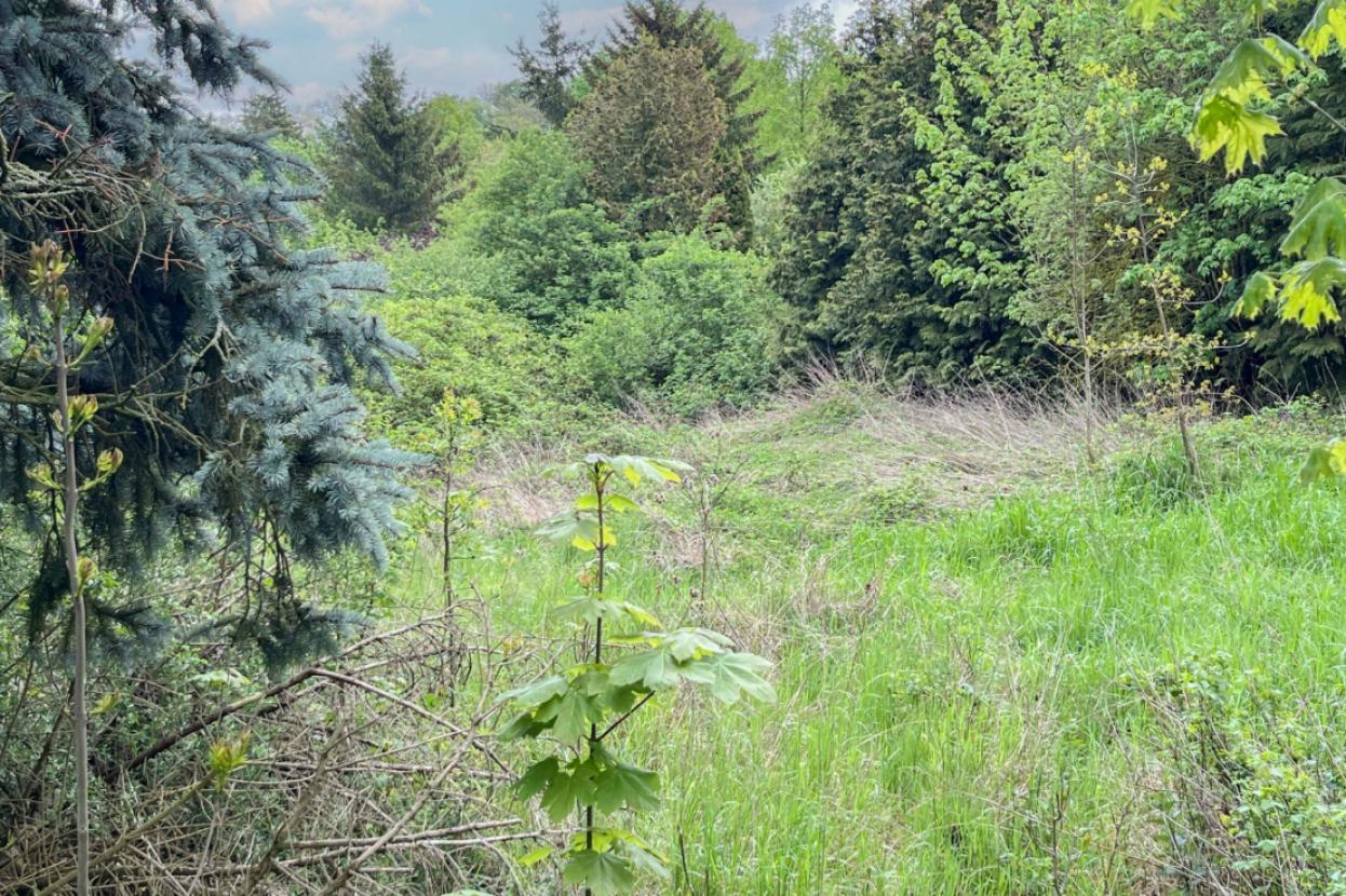 Grundstücksansicht
