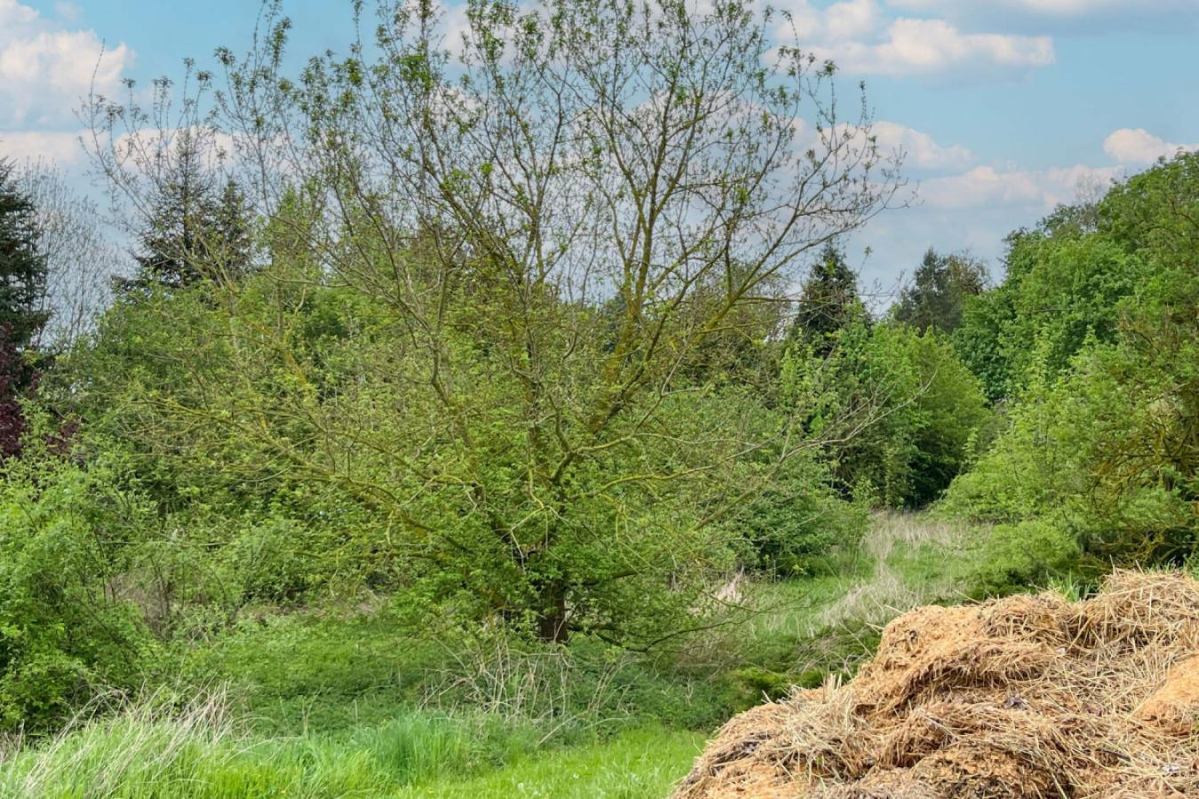Grundstücksansicht (2)